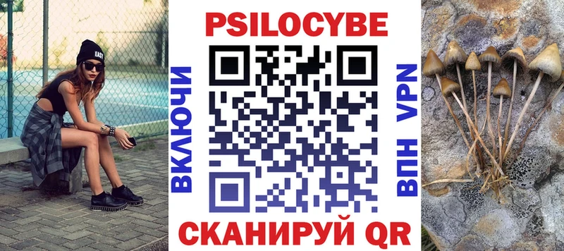 blacksprut зеркало Оленегорск Псилоцибиновые грибы мицелий